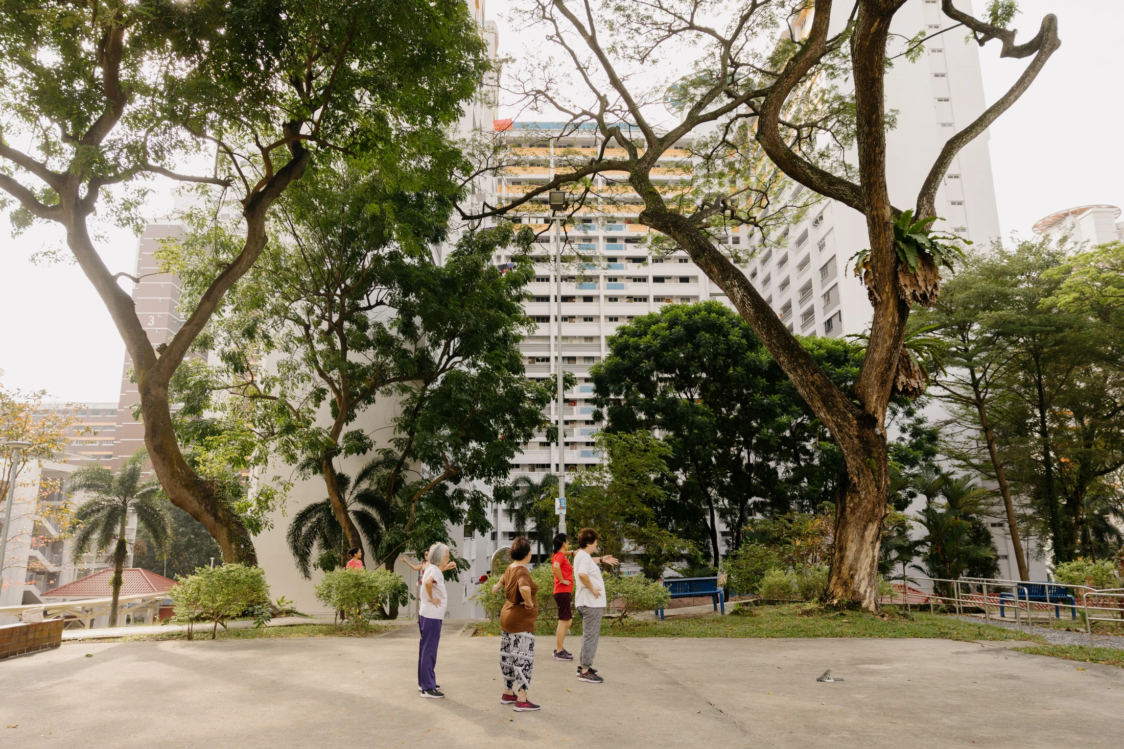 Olivia and Hunn's HDB complex has a wonderful community feel. The cats are very well looked after here.