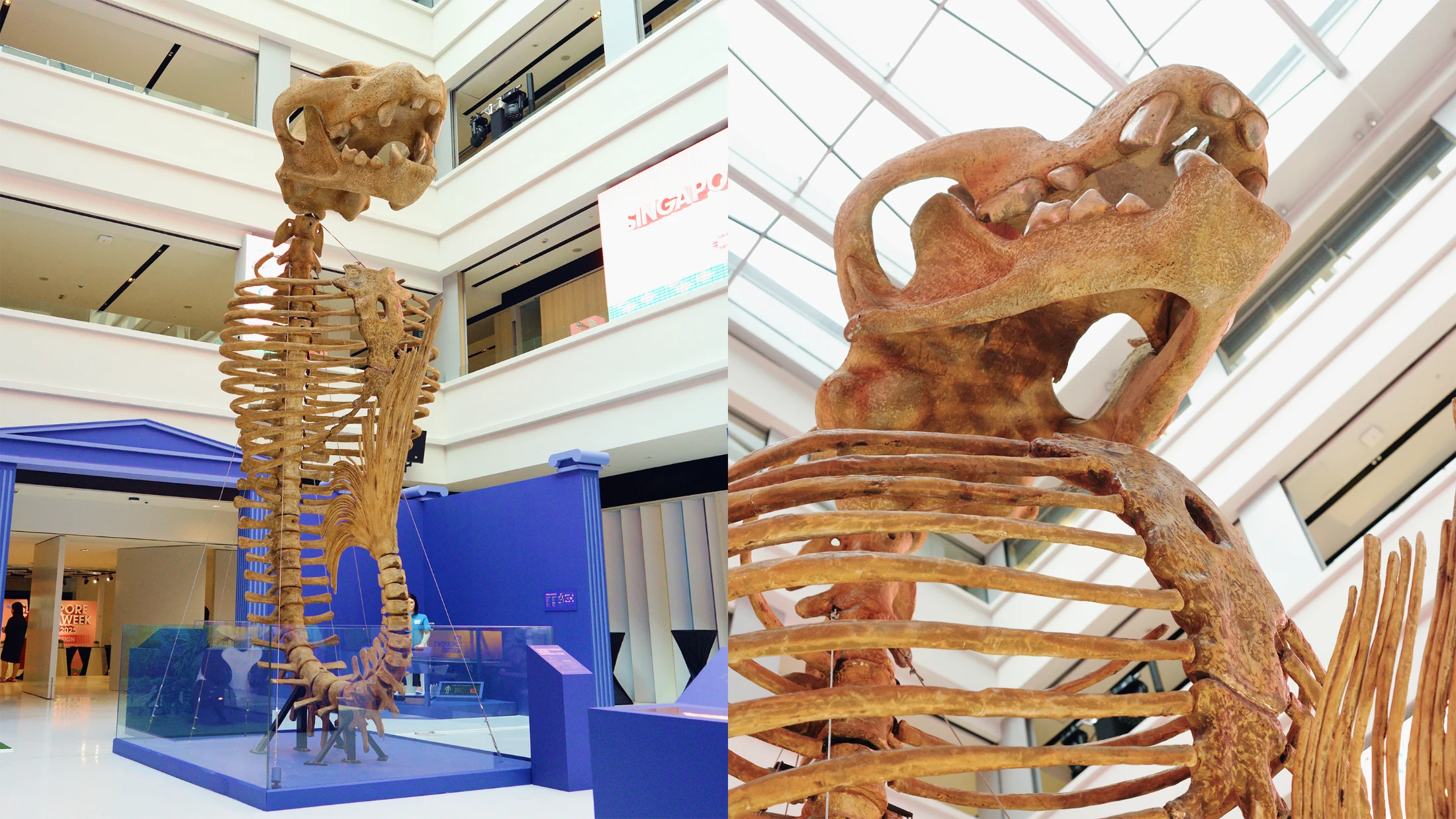 Displays from Kinetic's Unnatural History Museum of Singapore as part of Singapore Design Week 2025 include a giant Merlion fossil and Polybee nano drones. Images: Kinetic.