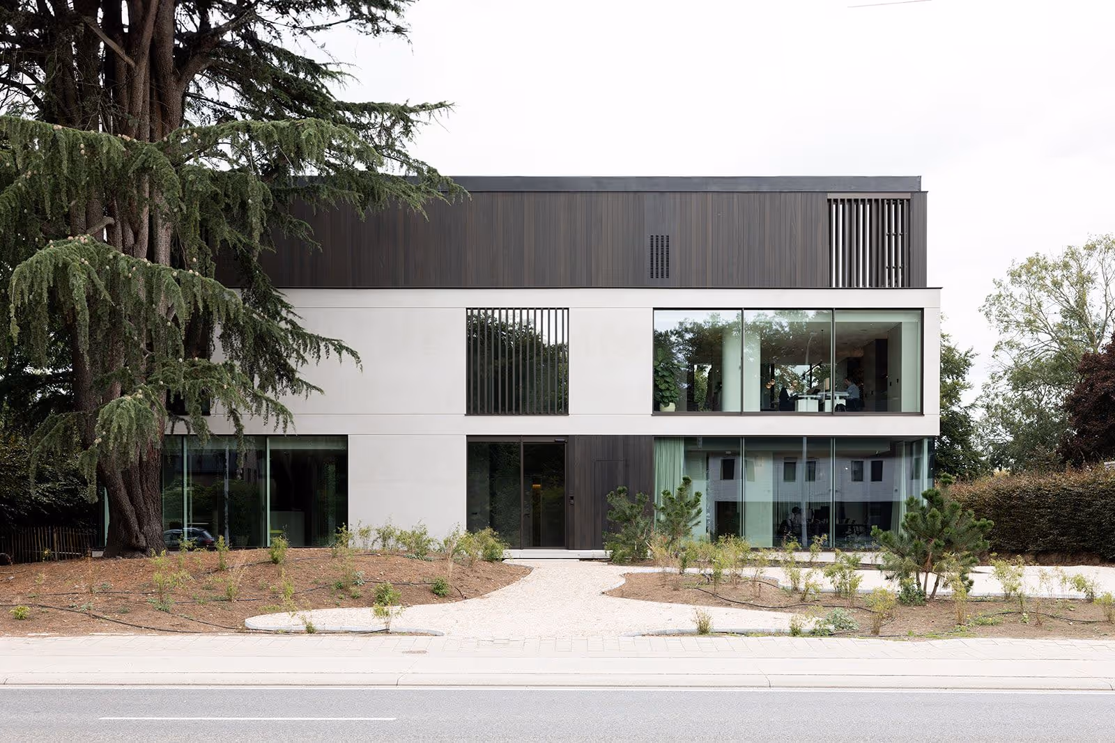 Modern wit en donkergrijs huis met grote ramen en een pad omgeven door jonge struiken en bomen.