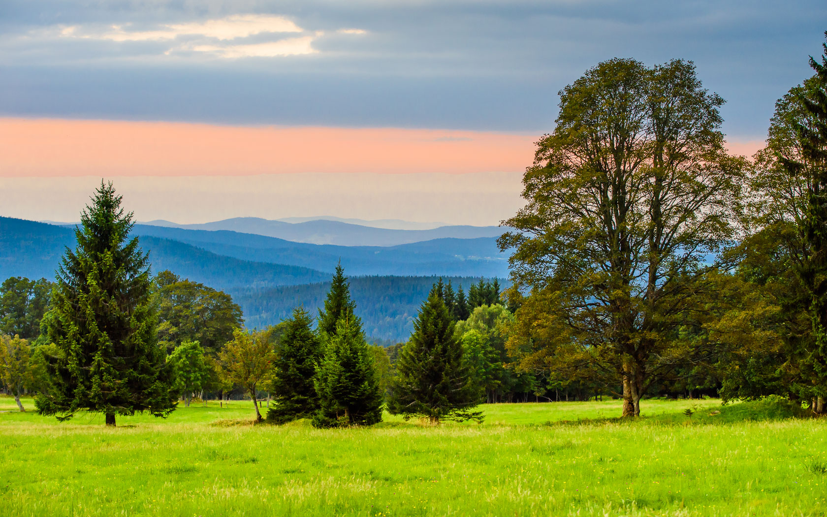 Gabon Day, ancient Bwiti teachings