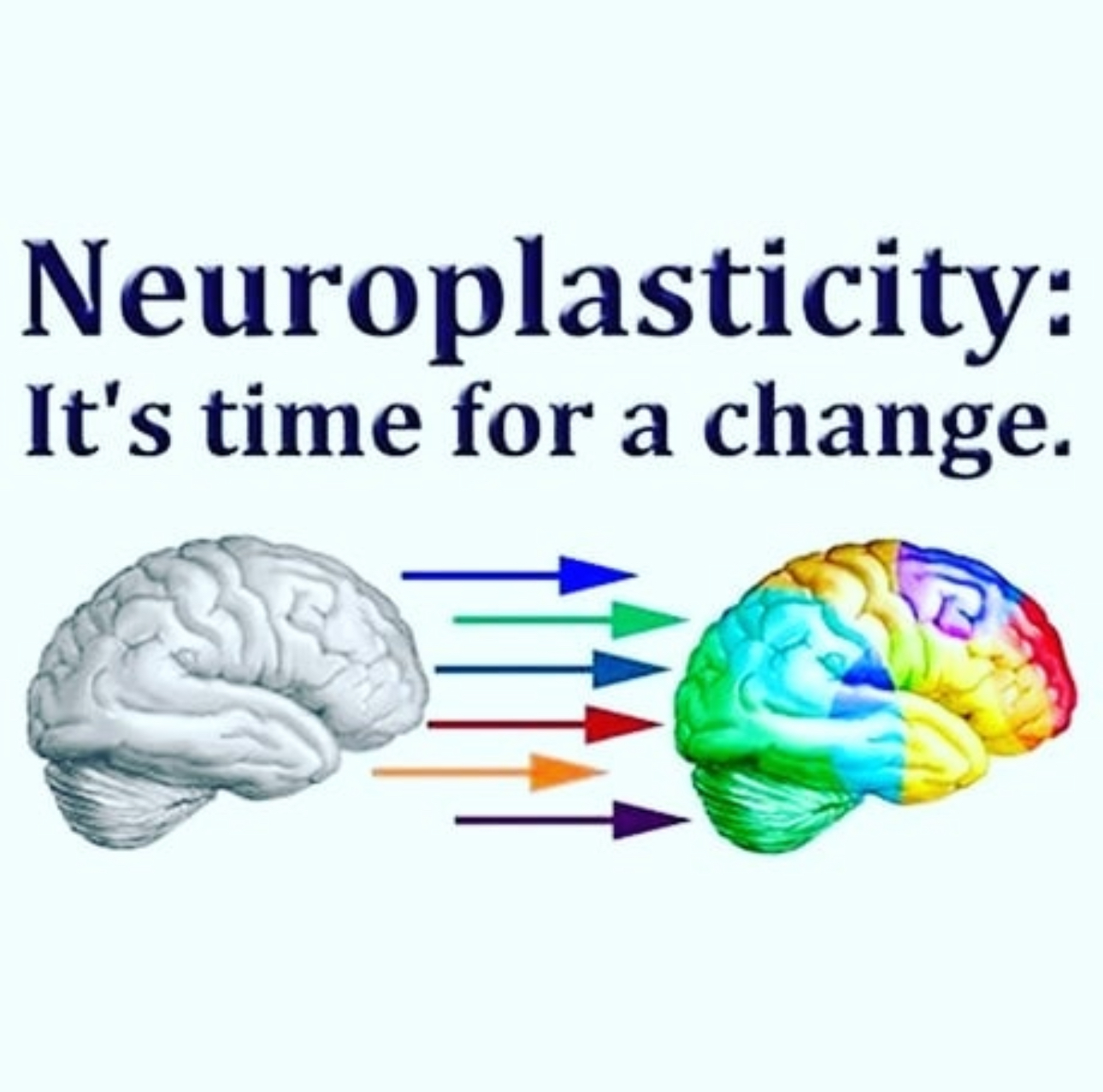 The Therapeutic Promise of Iboga and Its Alkaloids - Bwiti House Iboga retreat