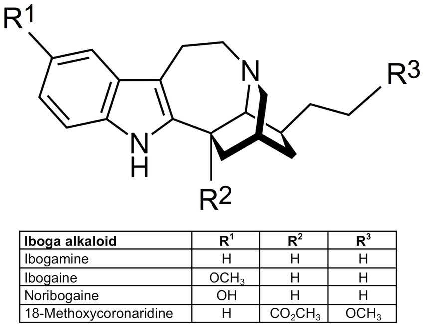 What is the effect of Ibogaine? - Bwiti House Iboga retreat