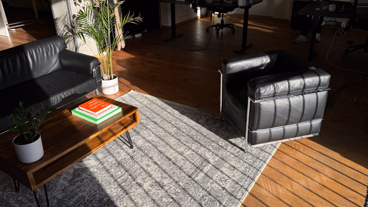 Modernes Wohnzimmer mit schwarzem Ledersofa, Sessel, Holztisch, Pflanzen und Teppich bei Tageslicht.