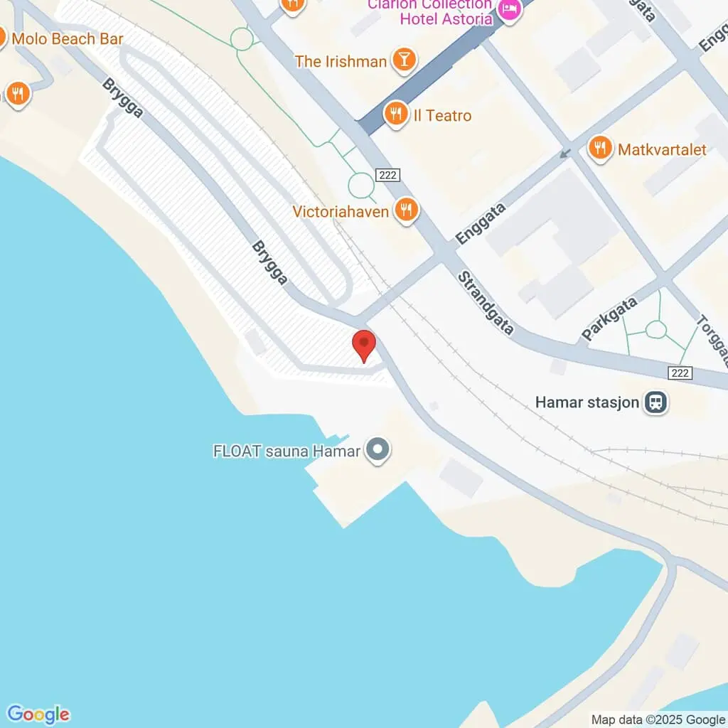 Google Maps Screenshot