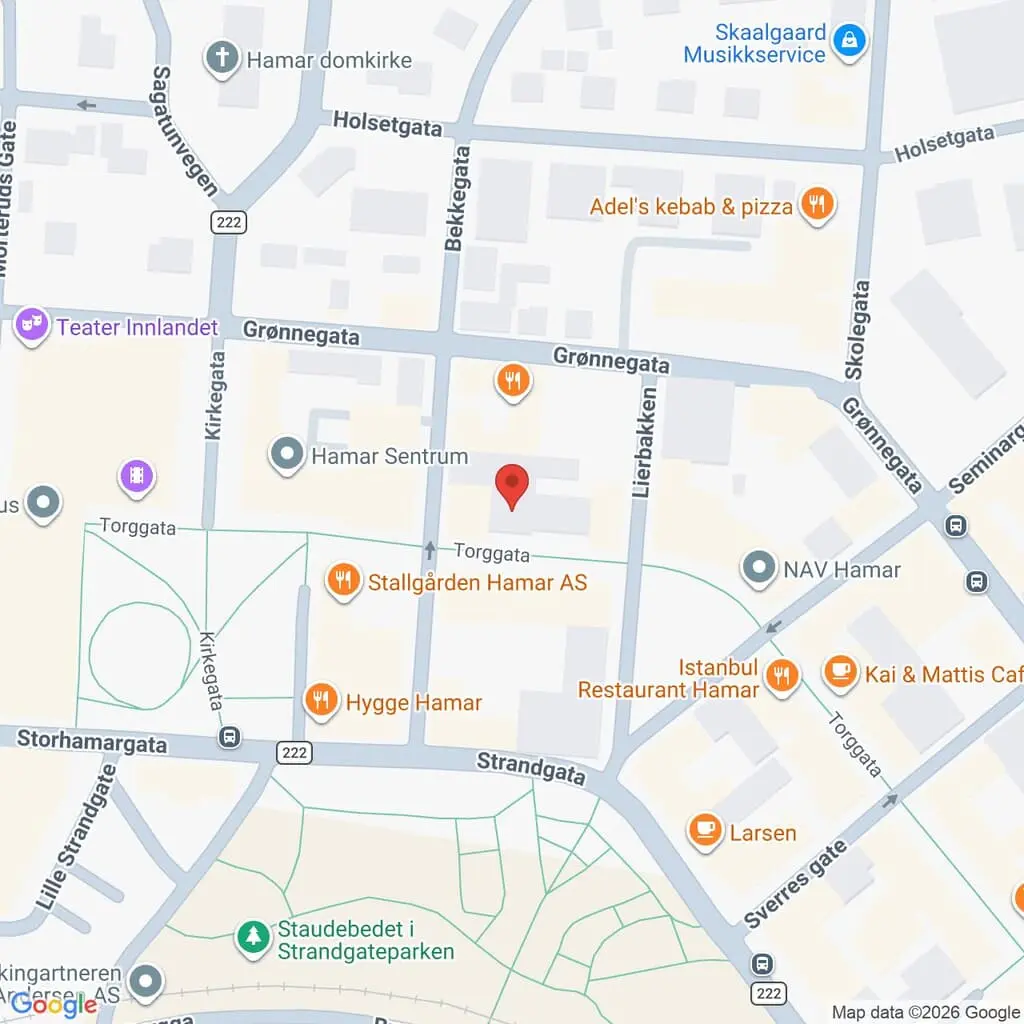 Google Maps Screenshot