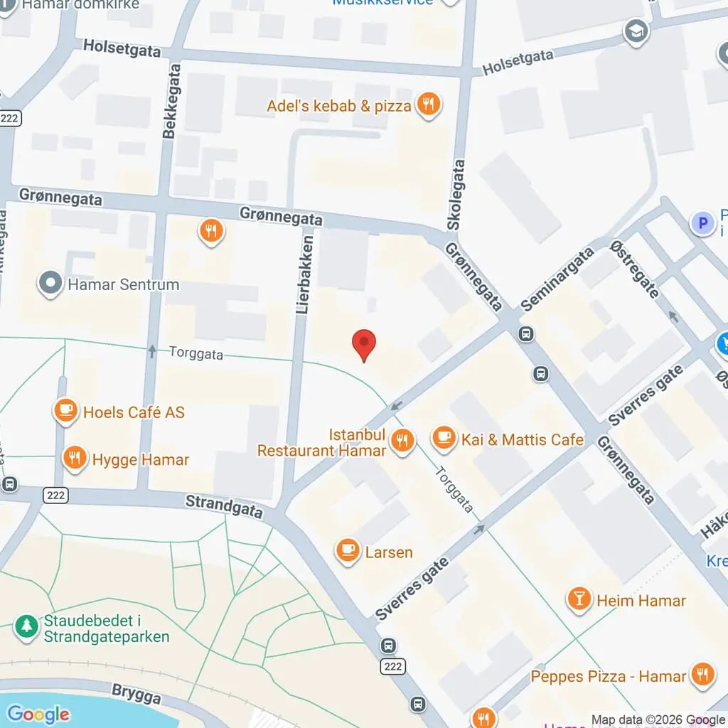 Google Maps Screenshot