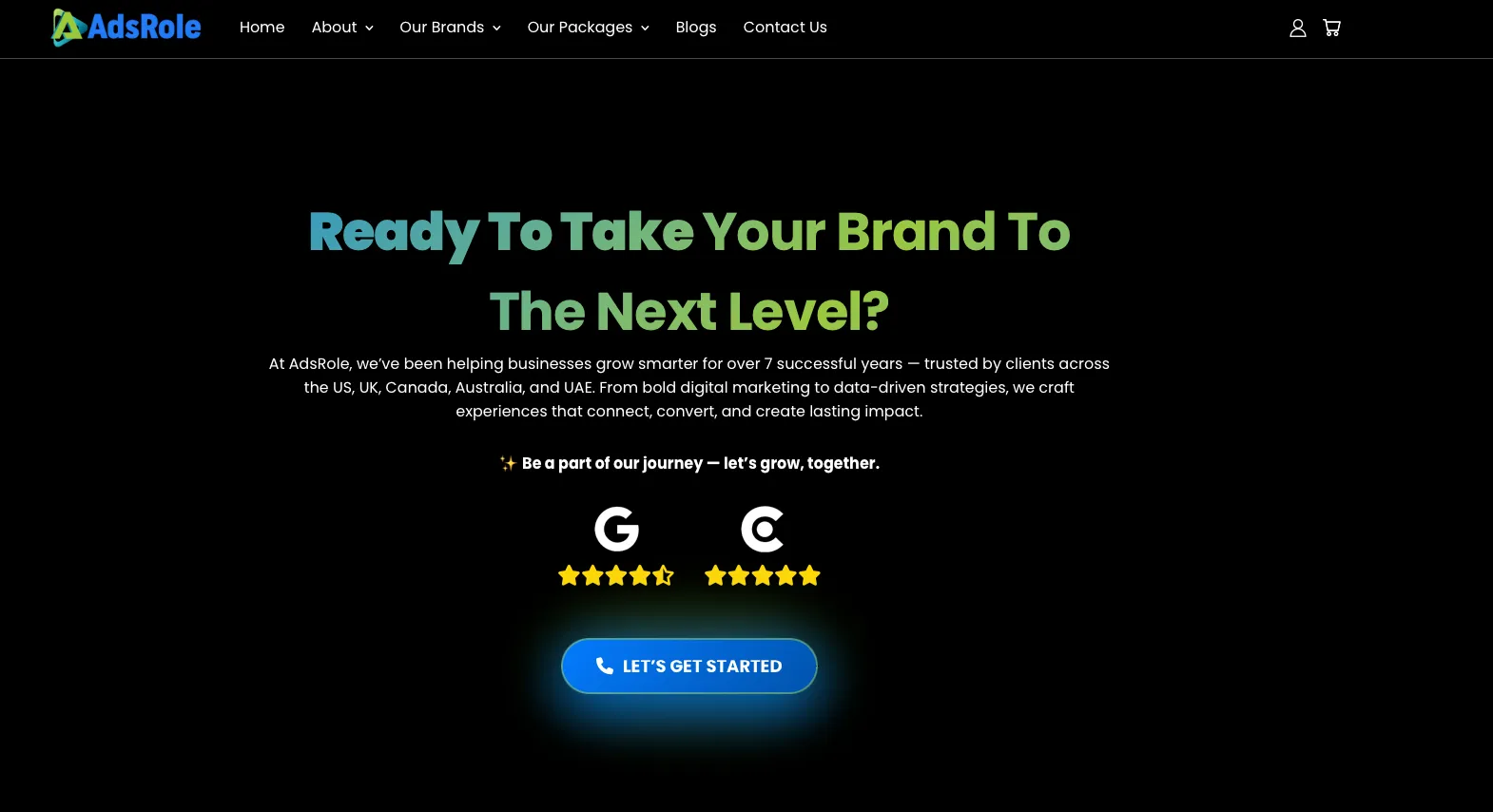 Best SEO Agency in the US: AdsRole