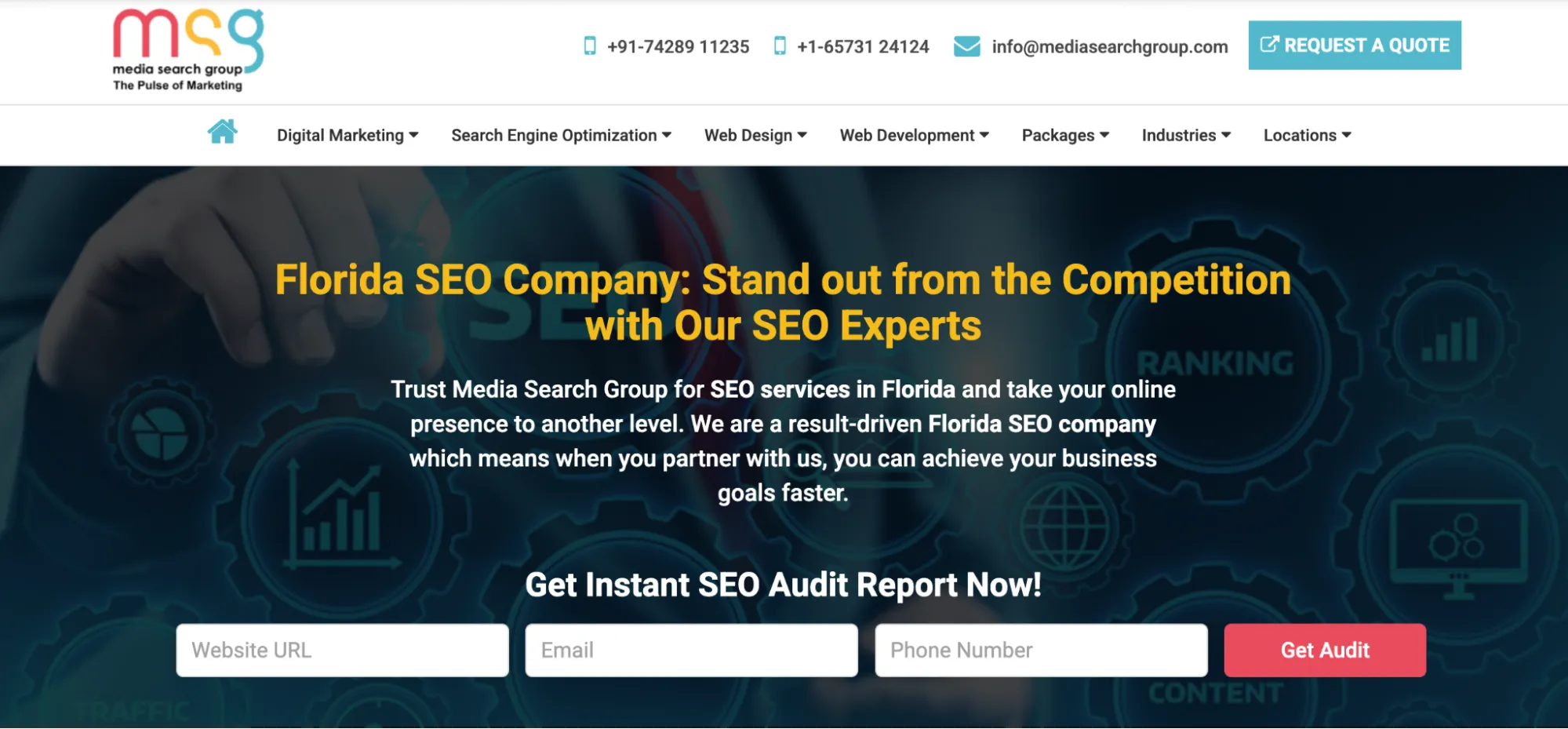 Florida SEO Agency: Media Search Group