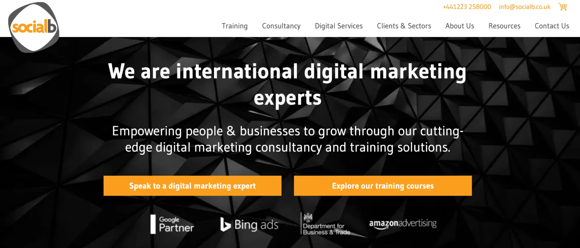 International SEO Agency: SocialB