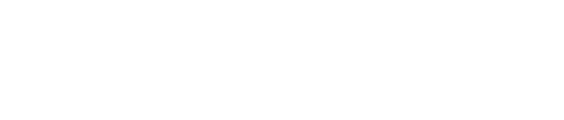 NEROS wordmark logo with a stylized N icon on the left side.