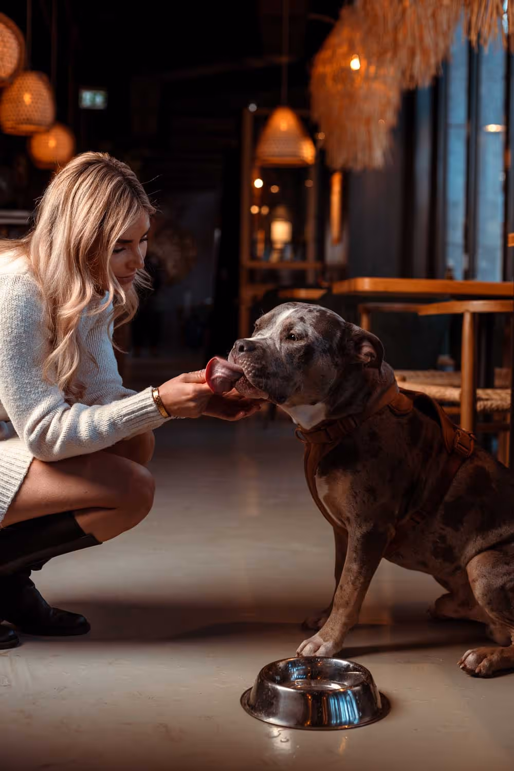 Frau füttert einen sitzenden Hund mit einem roten Snack in einem gemütlichen Innenraum.