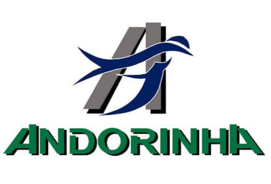 logo andorinha