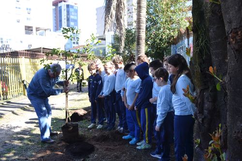 Sindilojas Vale Germânico planta mudas de árvores para compensar emissão de CO2