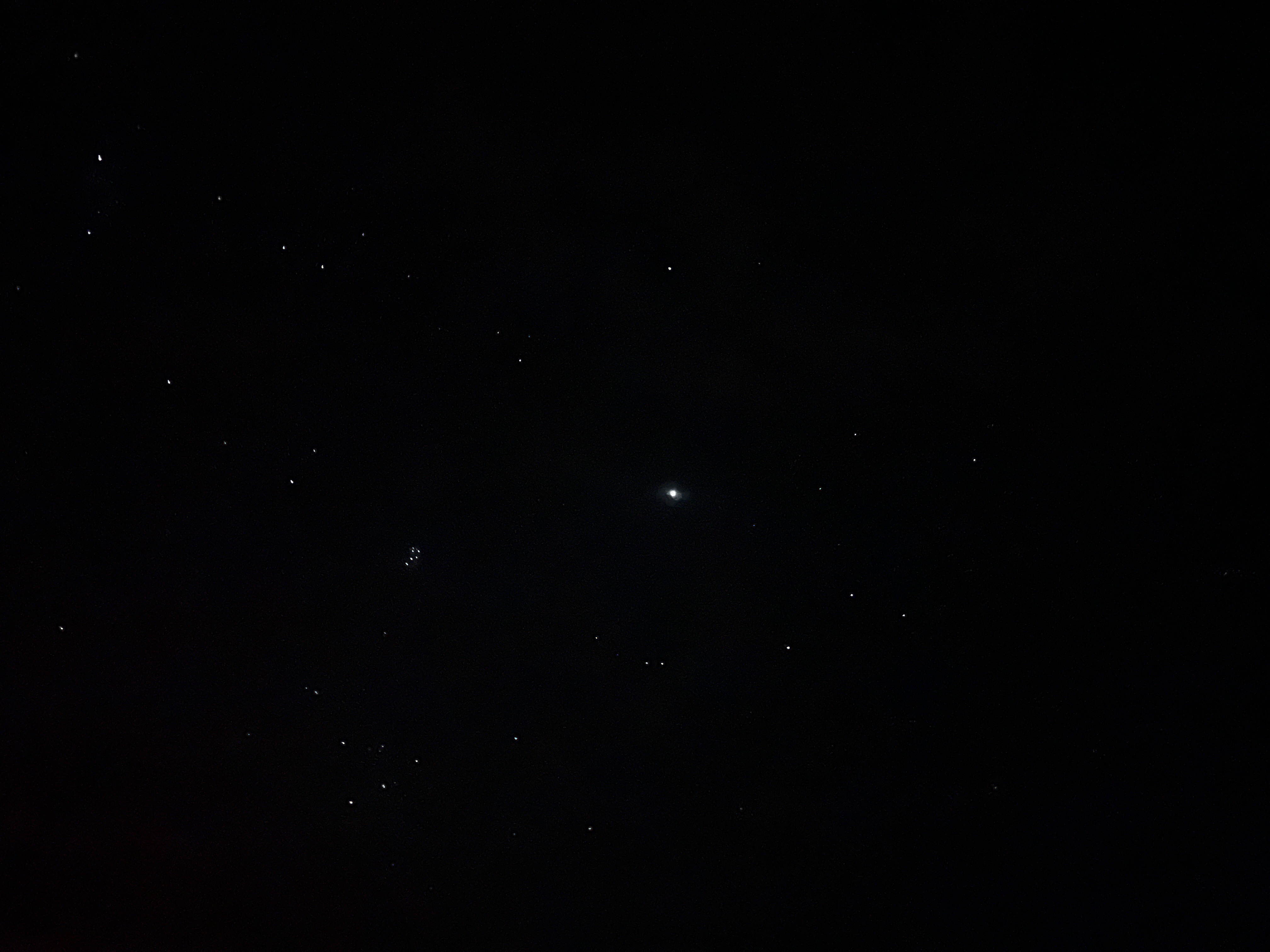 the stars in Joshua Tree National Park