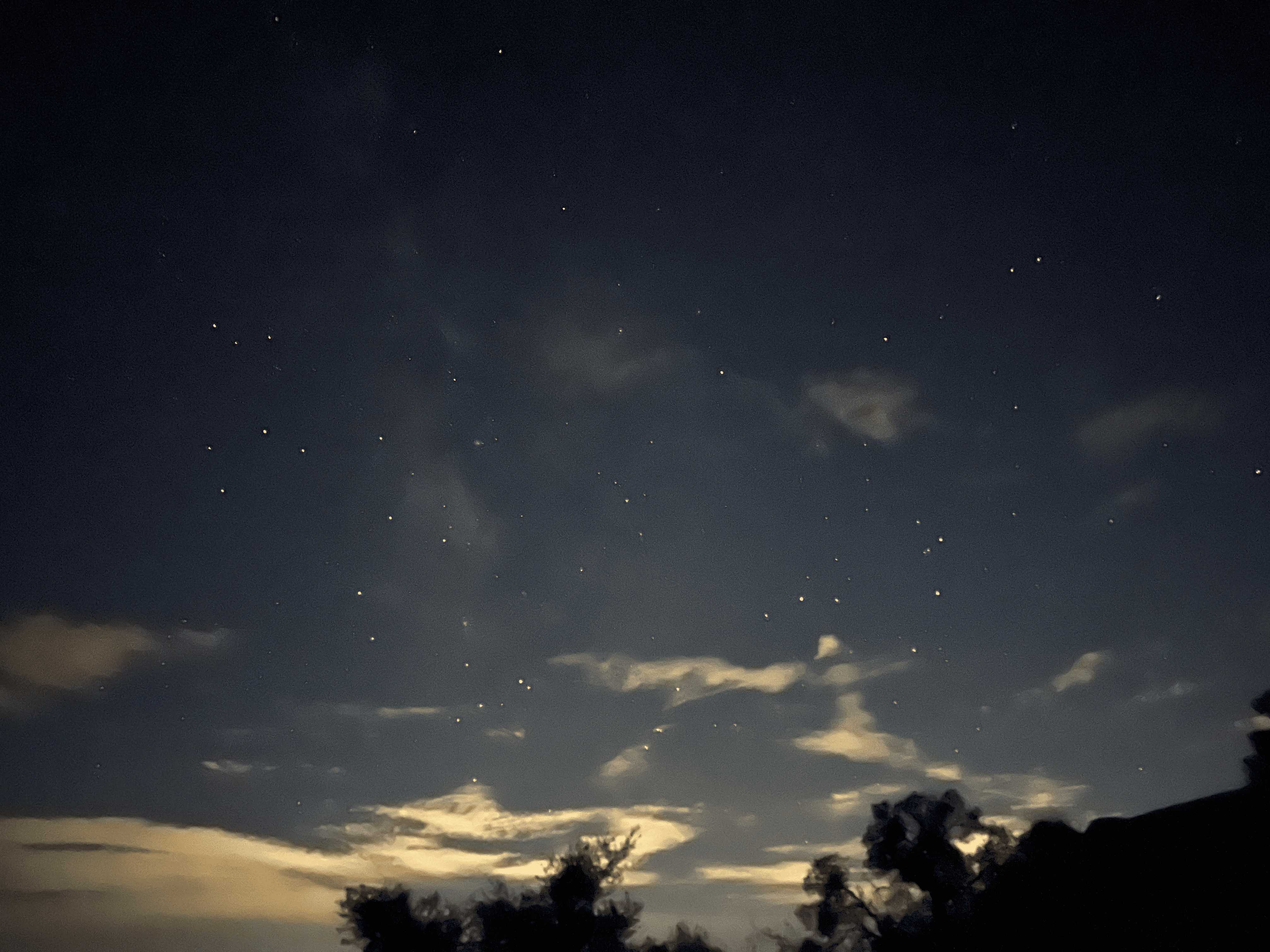 the stars in Joshua Tree National Park