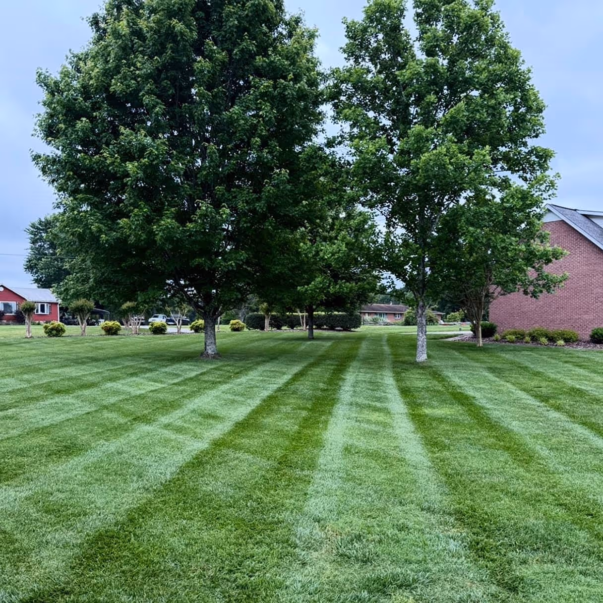 Weekly lawn care services near me in Coffee County | Taylor Made Lawn Care