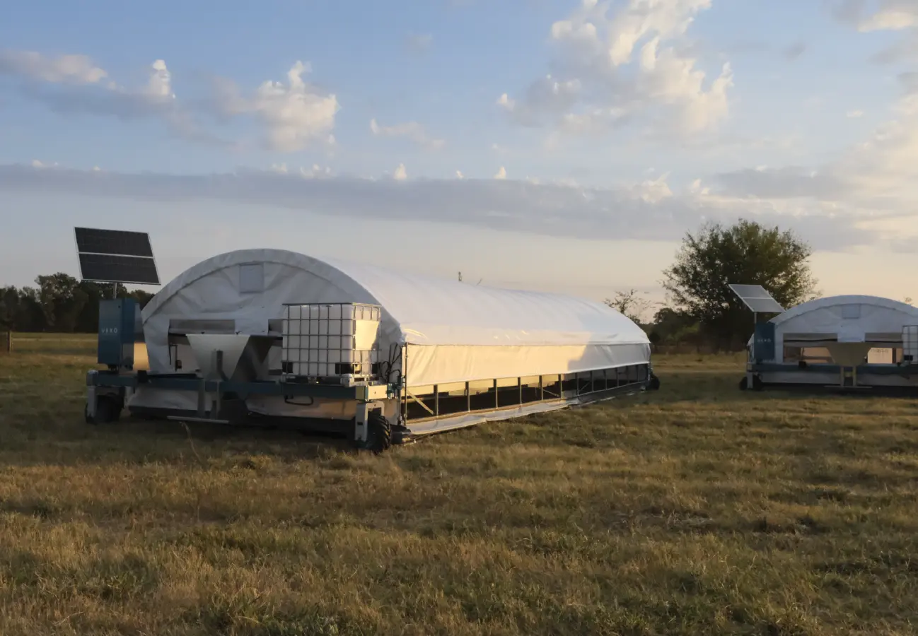 Two ROVA|BARN mobile chicken coops in a pasture at sunset, featuring white reflective roofs and solar panels.