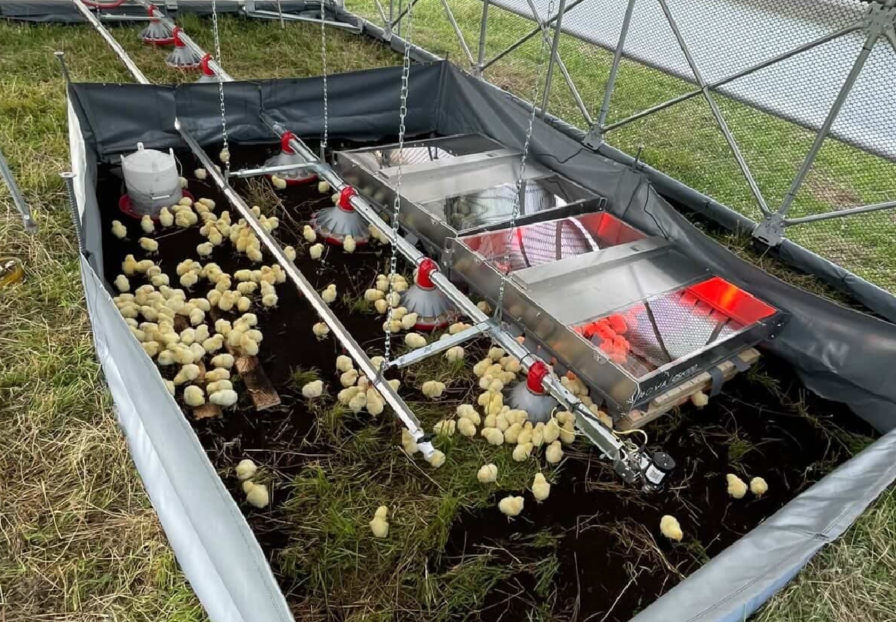 Automated feeding, watering, and waste management systems inside the ROVA|BARN supporting pasture-raised poultry care
