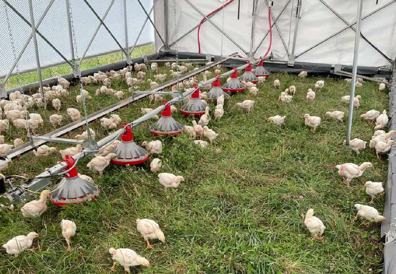 Westbrook Farm pasture poultry operation expanding production with automated barn technology and reduced labour demands