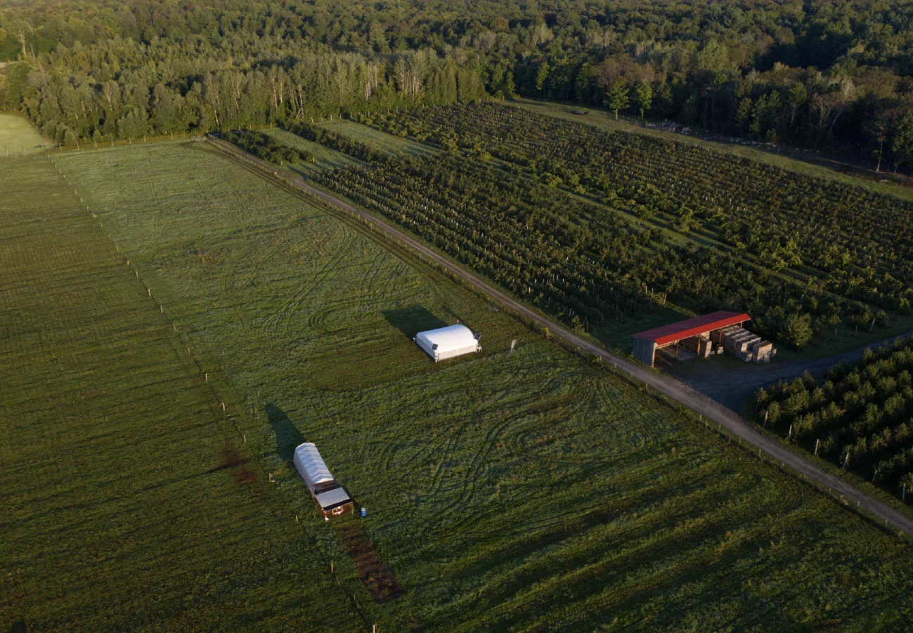  Rotational grazing system showing even pasture use and improved land management.