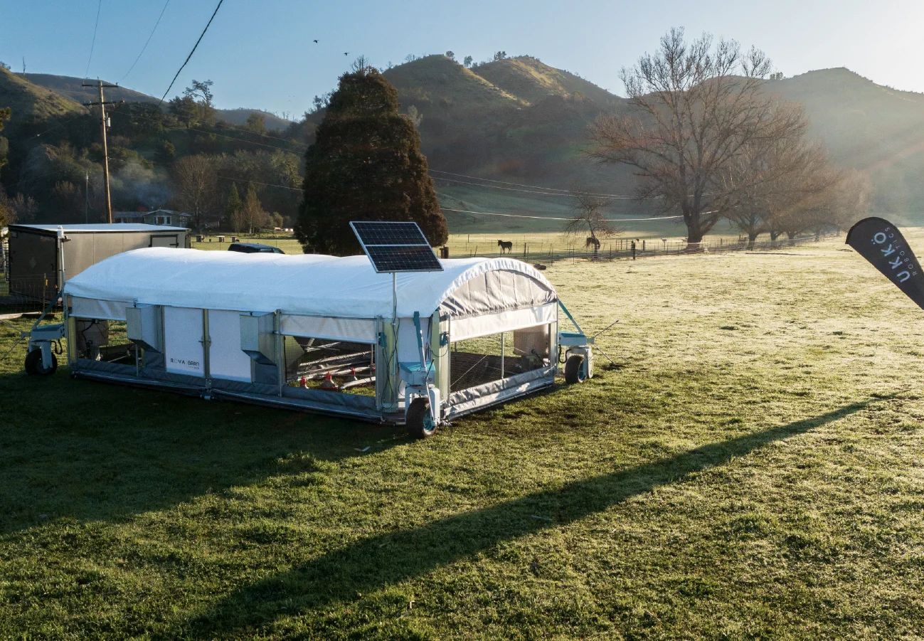 Automated mobile chicken barn moving chickens to fresh pasture without manual labour.