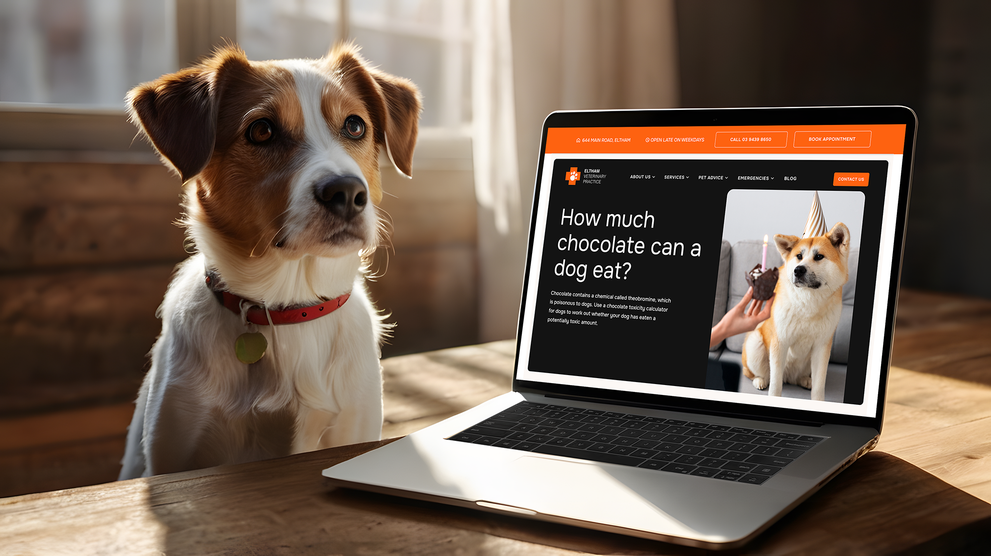 Eltham Veterinary Clinic