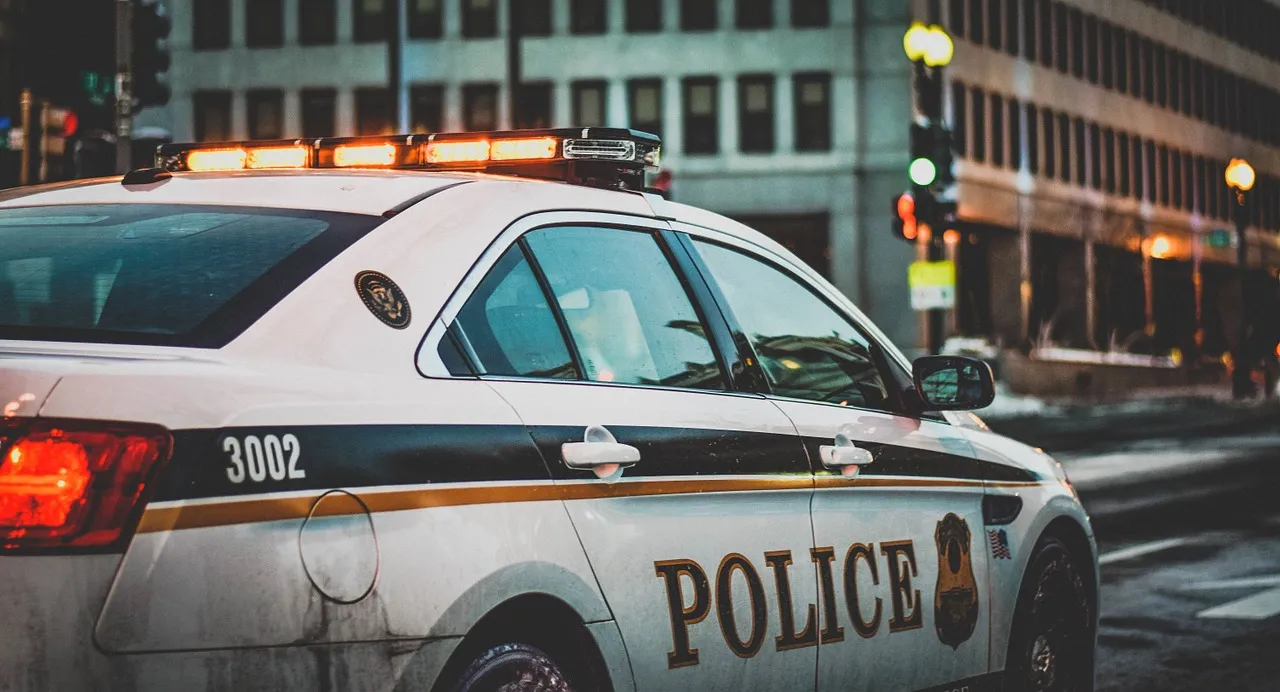 What Can We Learn From the Deletion of Millions of Police Records?