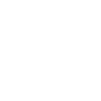Logo Icon