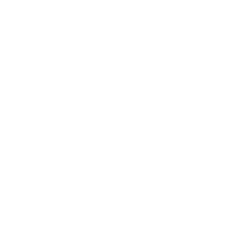 Logo Icon
