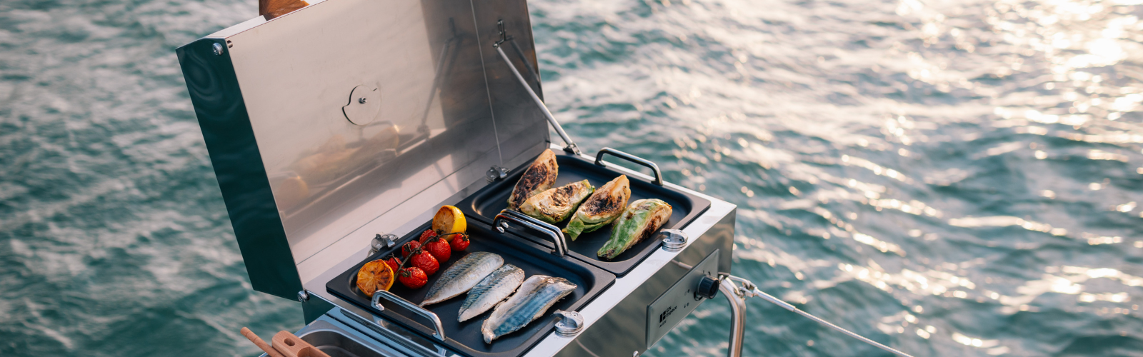 fish cooking on alize grill