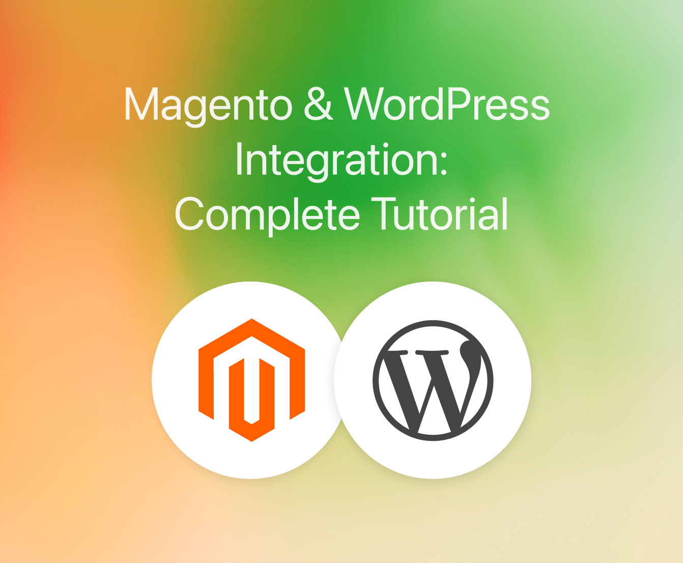 Magento & WordPress Integration: Complete Tutorial
