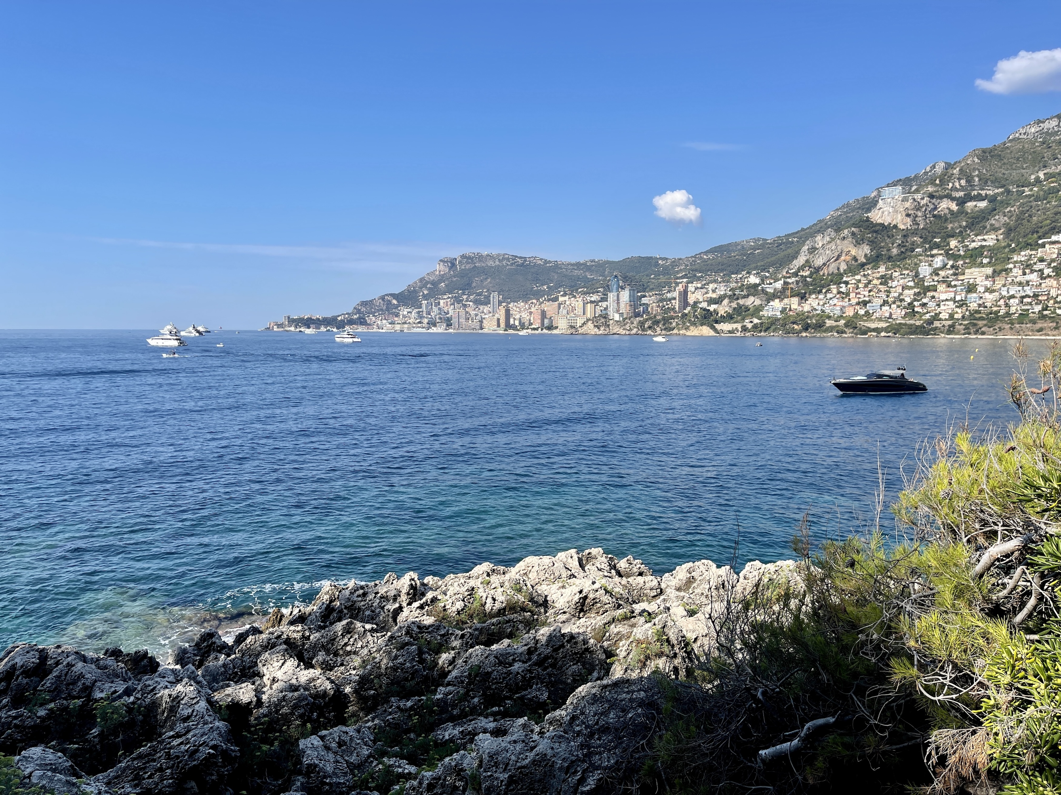 Menton coastline