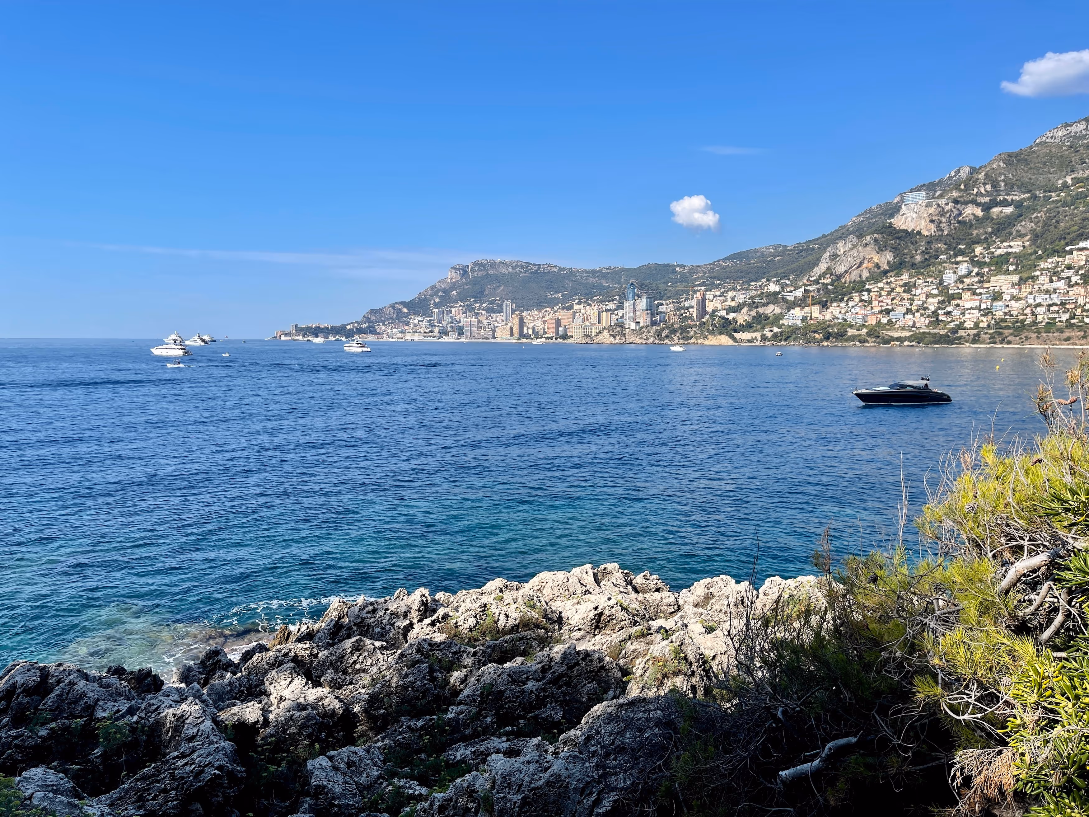 Menton coastline on the French Riviera — home of the IGP Menton lemon