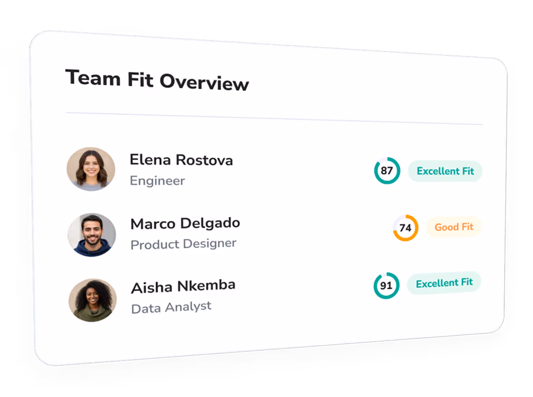 Team Fit Overview card showing three team members with their photos, roles, fit scores, and fit status: Elena Rostova, Engineer, score 87, Excellent Fit; Marco Delgado, Product Designer, score 74, Good Fit; Aisha Nkemba, Data Analyst, score 91, Excellent Fit.