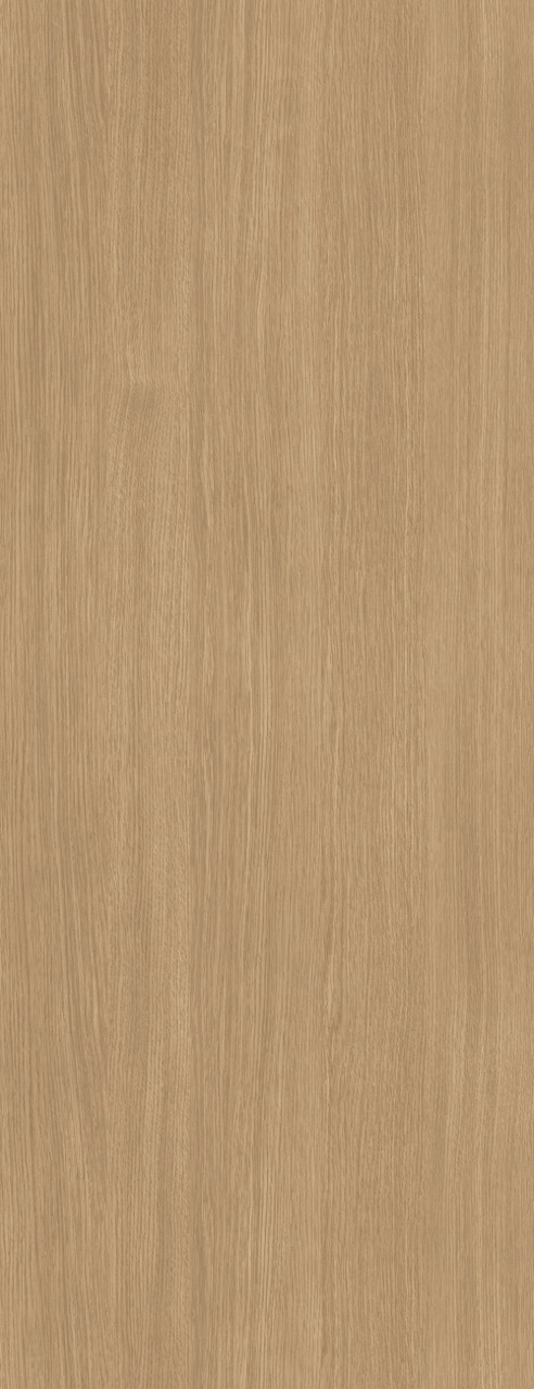 St. Petersburg Oak - W523