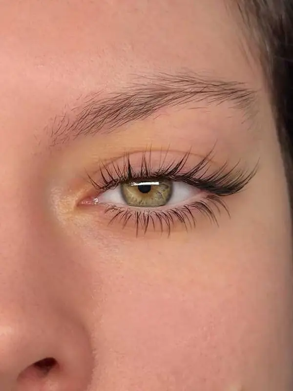 Lash and brow specialists