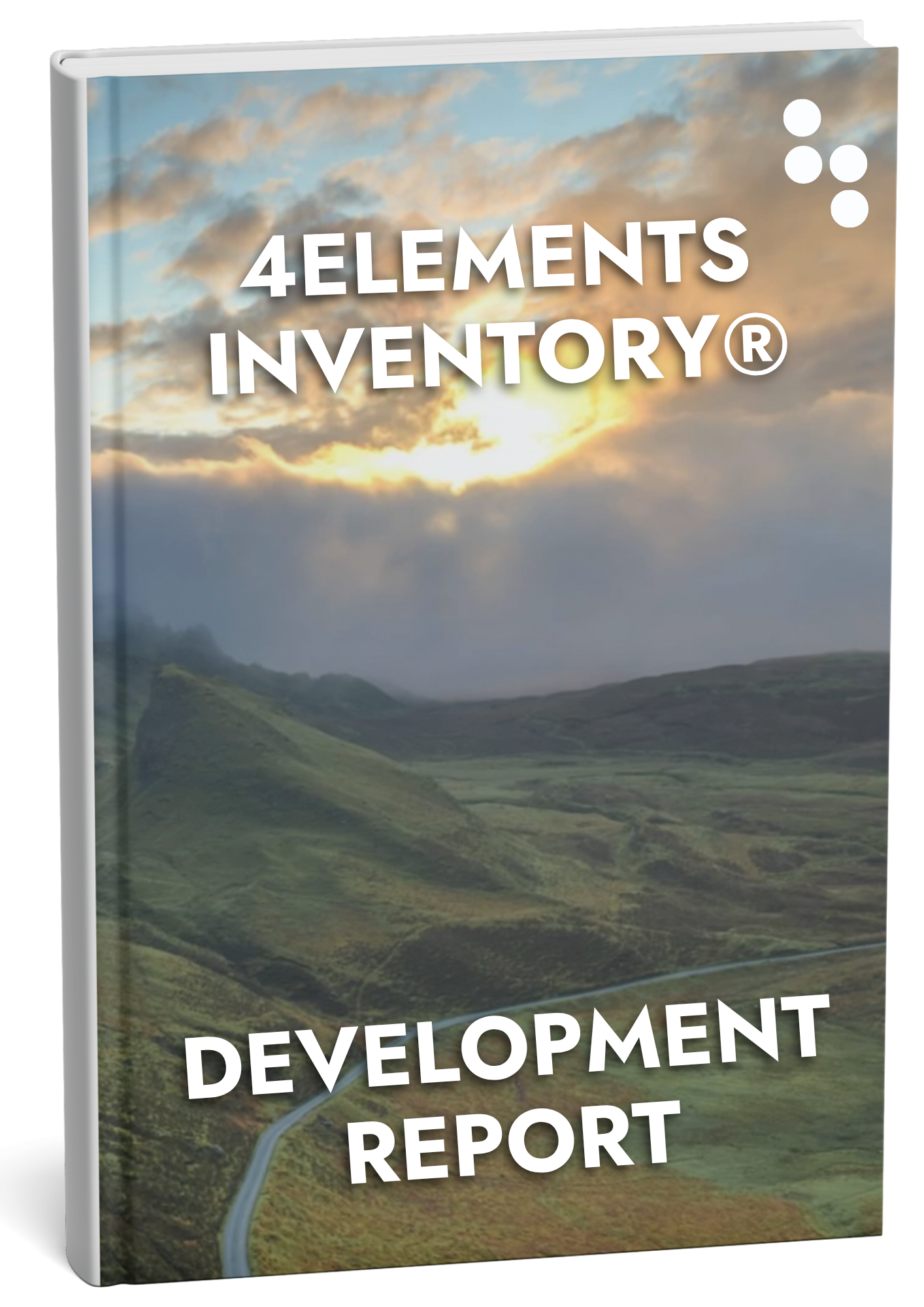 4Elements Inventory Paperback