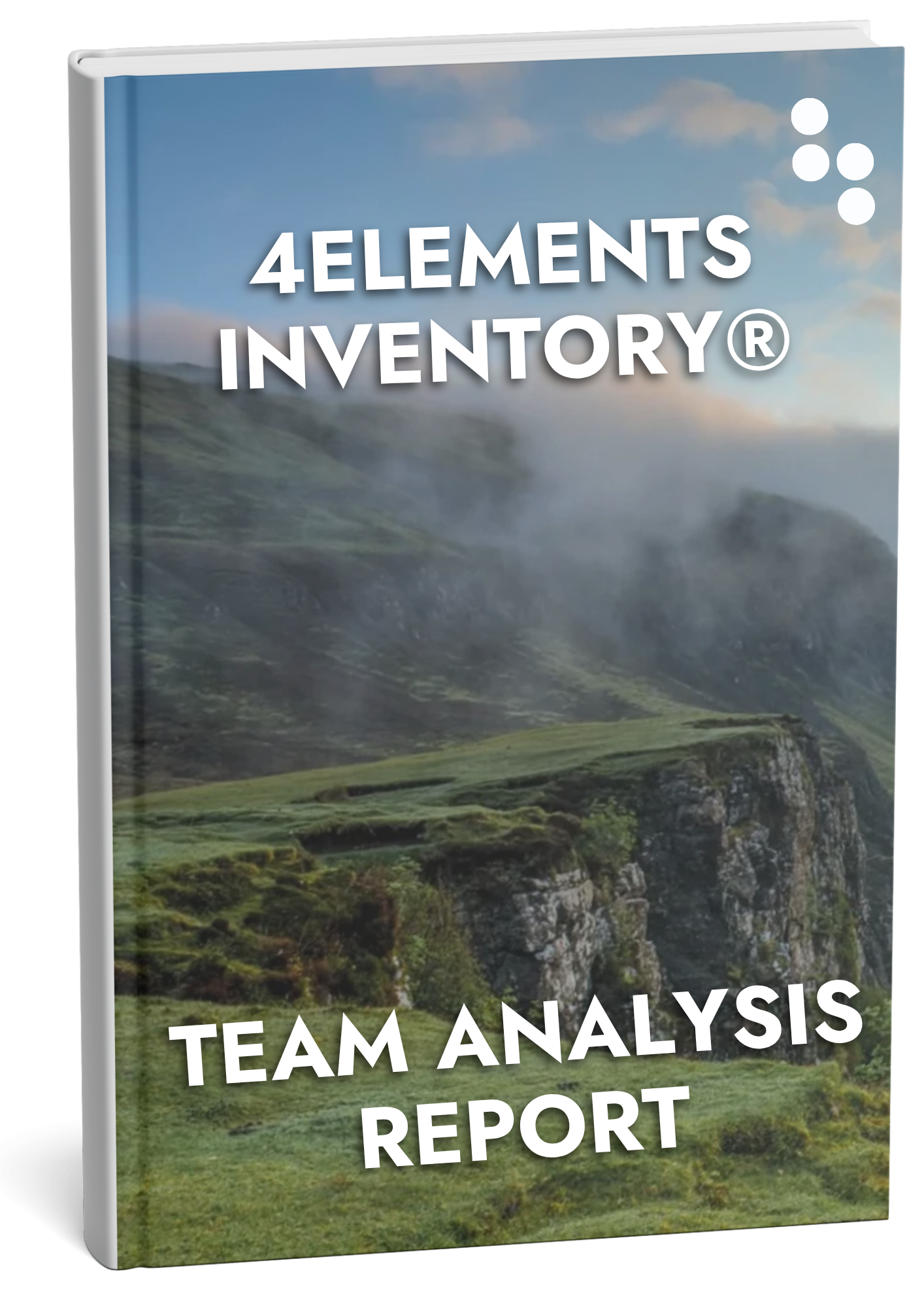4Elements Inventory Paperback