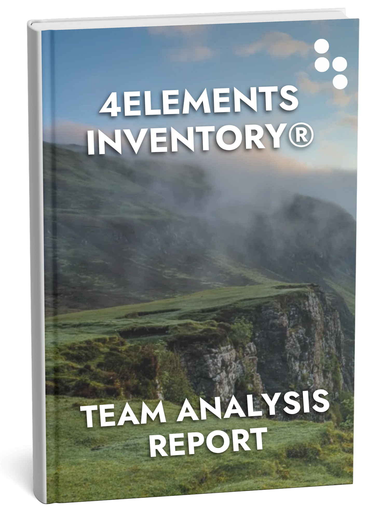 4Elements Inventory Paperback