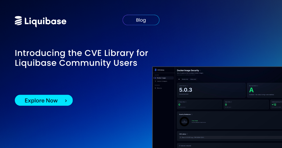 Introducing the CVE Library for Liquibase Community Users