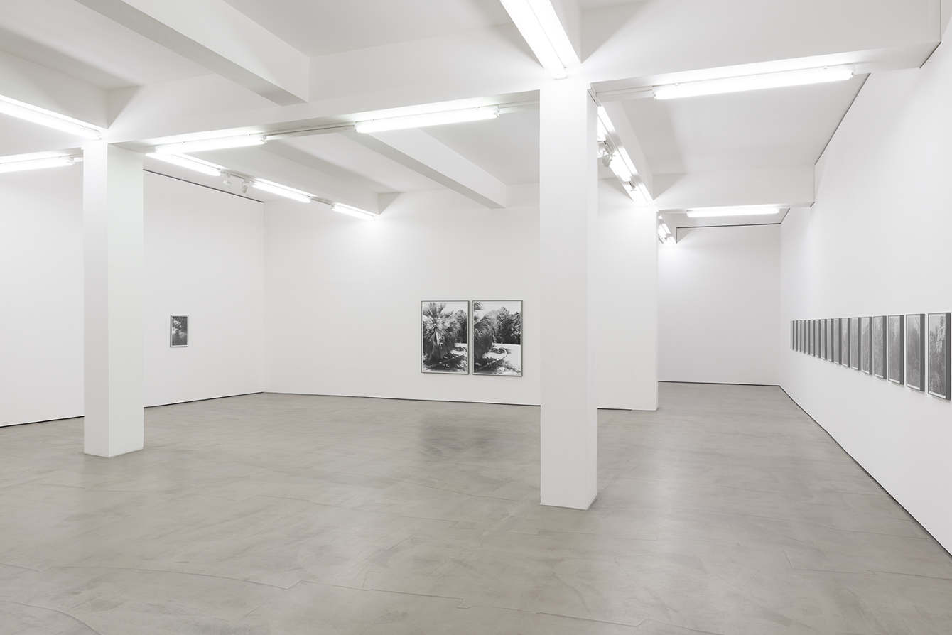 Der Raum als Galerie genutzt: weiße Wände, Kunstwerke, die Fenster sind verschlossen