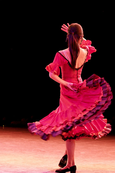 Flamenco Grenade