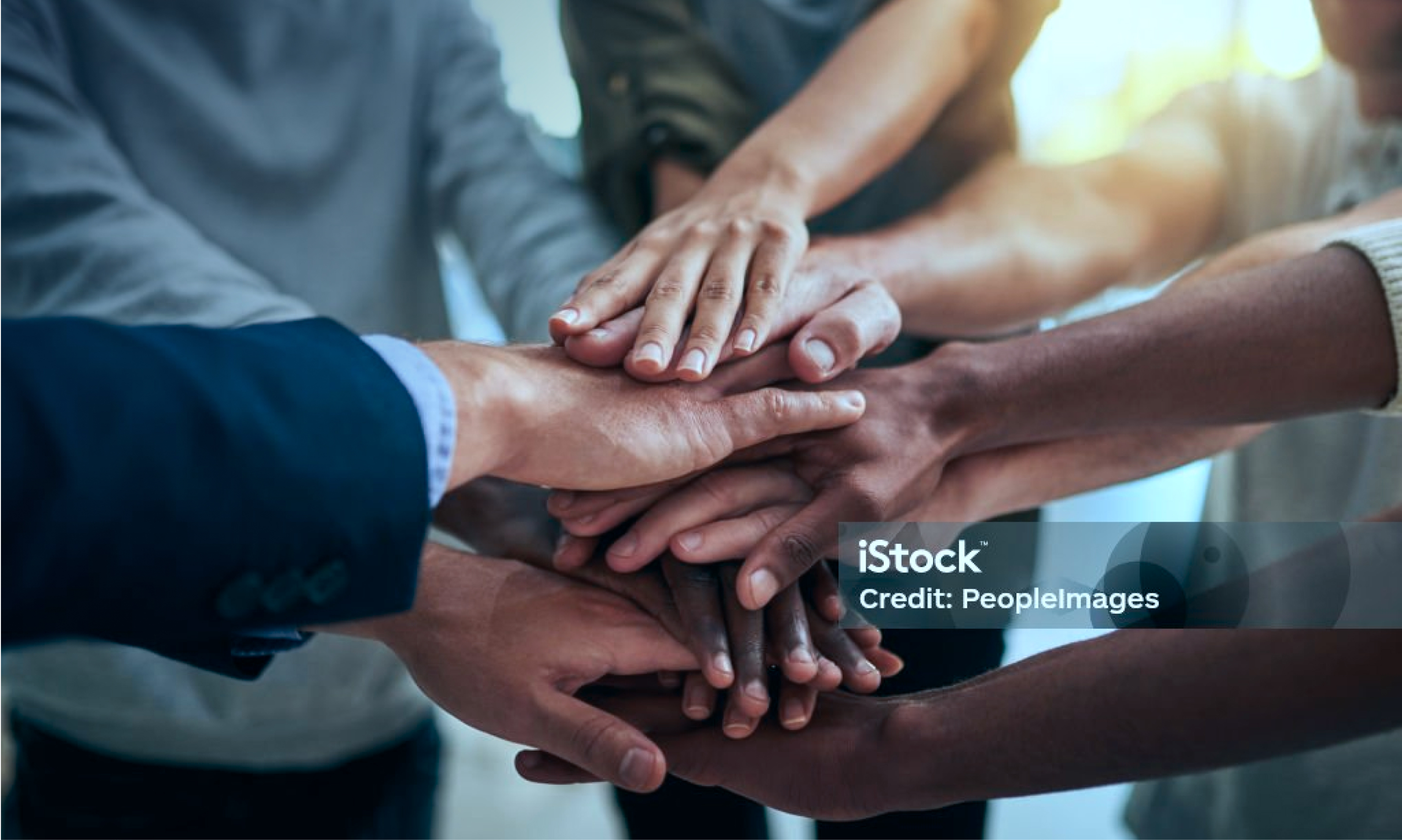 B2B Web Design & Development