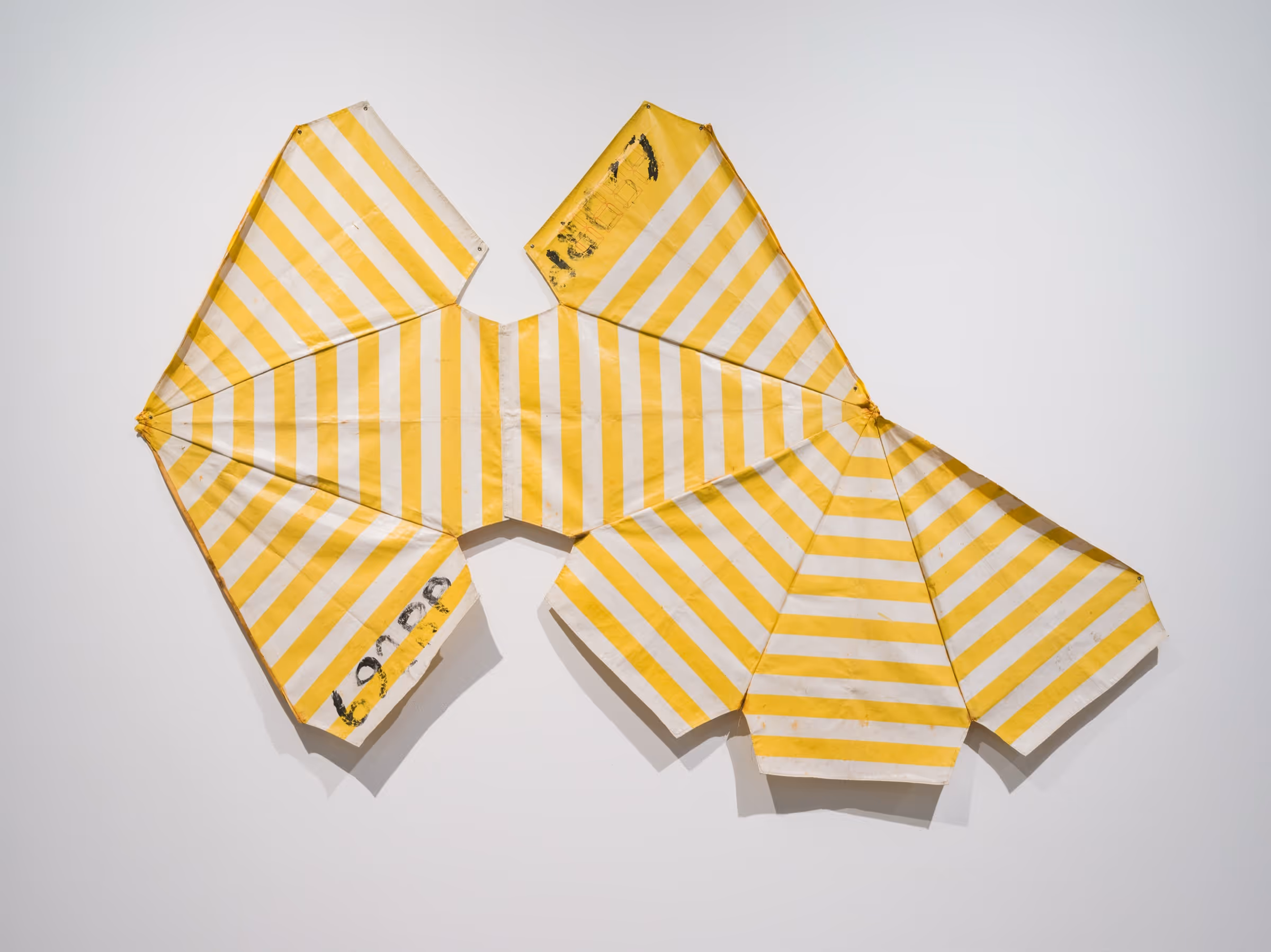 Zé Tepedino work 1