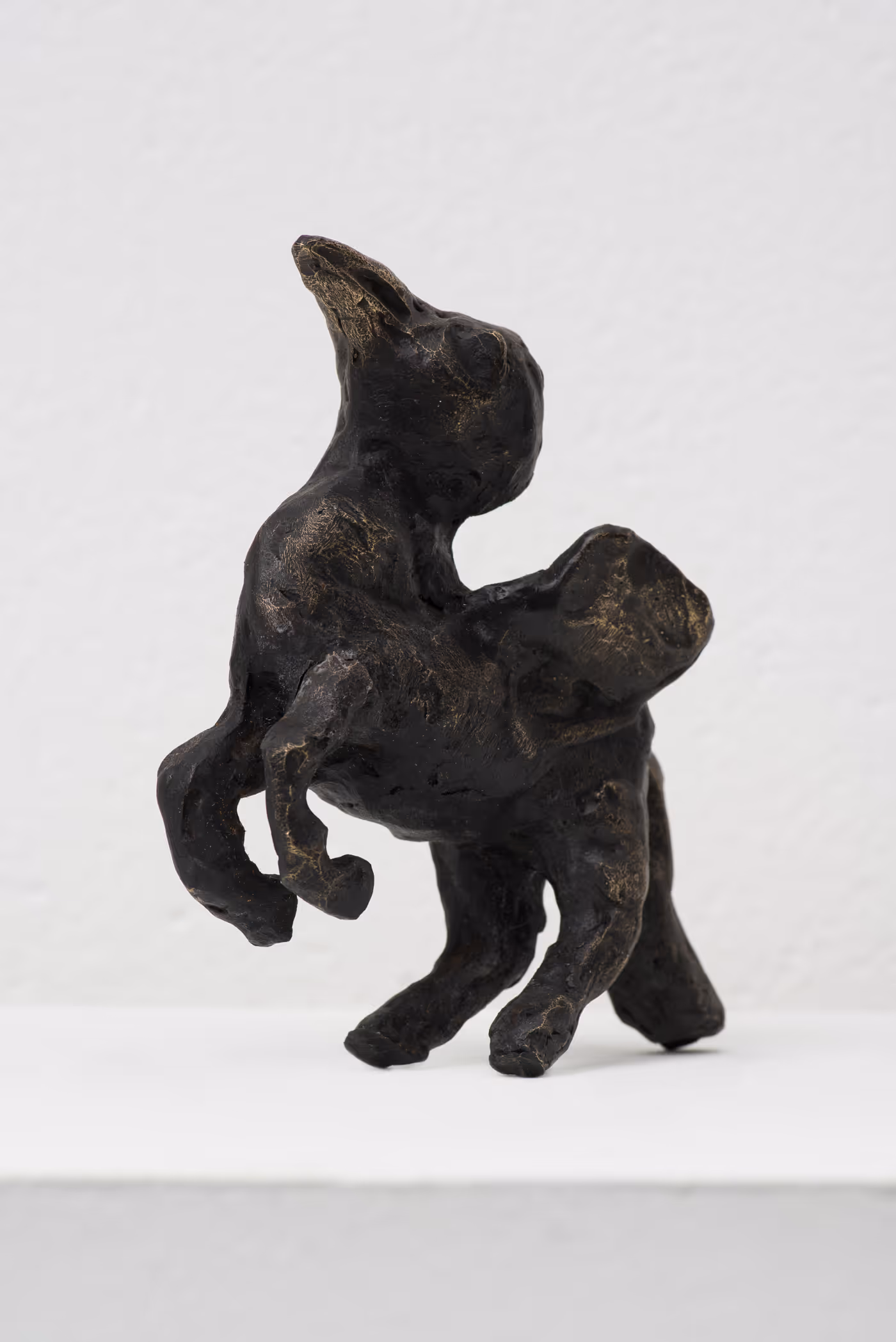 Ana Mazzei work 2