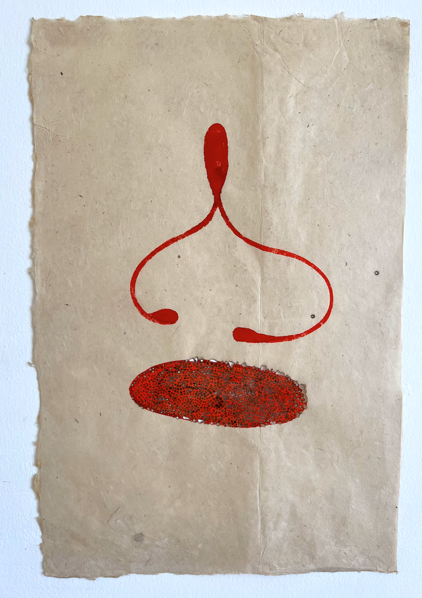 Richi Bhatia work 3