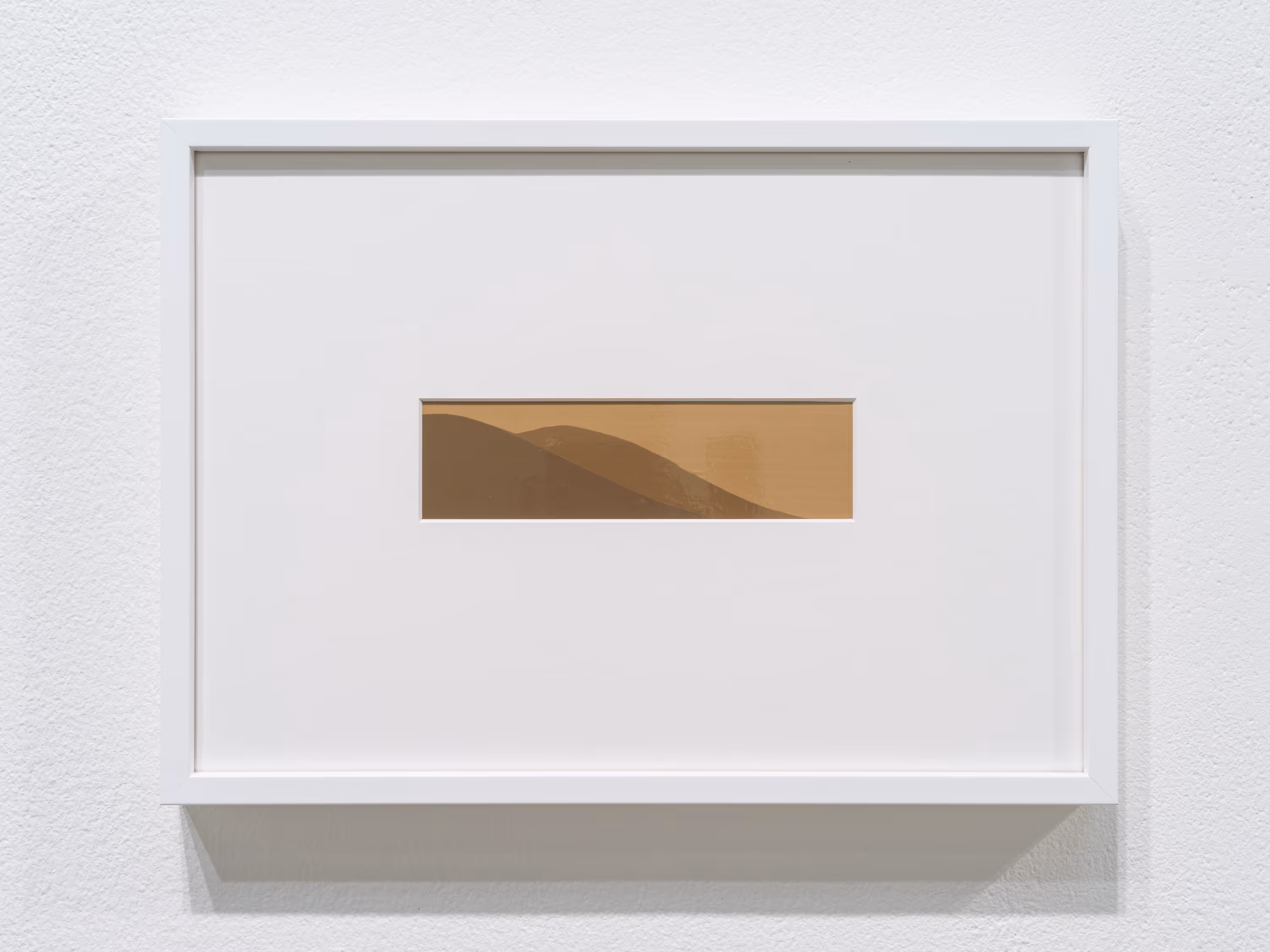 Zé Tepedino work 2