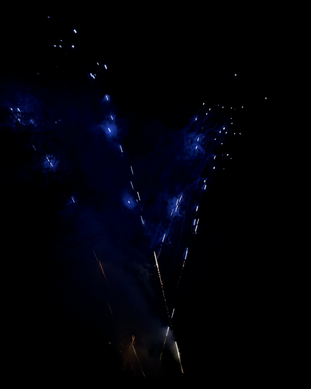 Gerbes de feux d'artifice silencieux aux teintes bleues s'élevant dans le ciel nocturne, spectacle pyrotechnique innovant à faible bruit idéal pour mariages et événements en présence d'animaux, Wagnon Events.