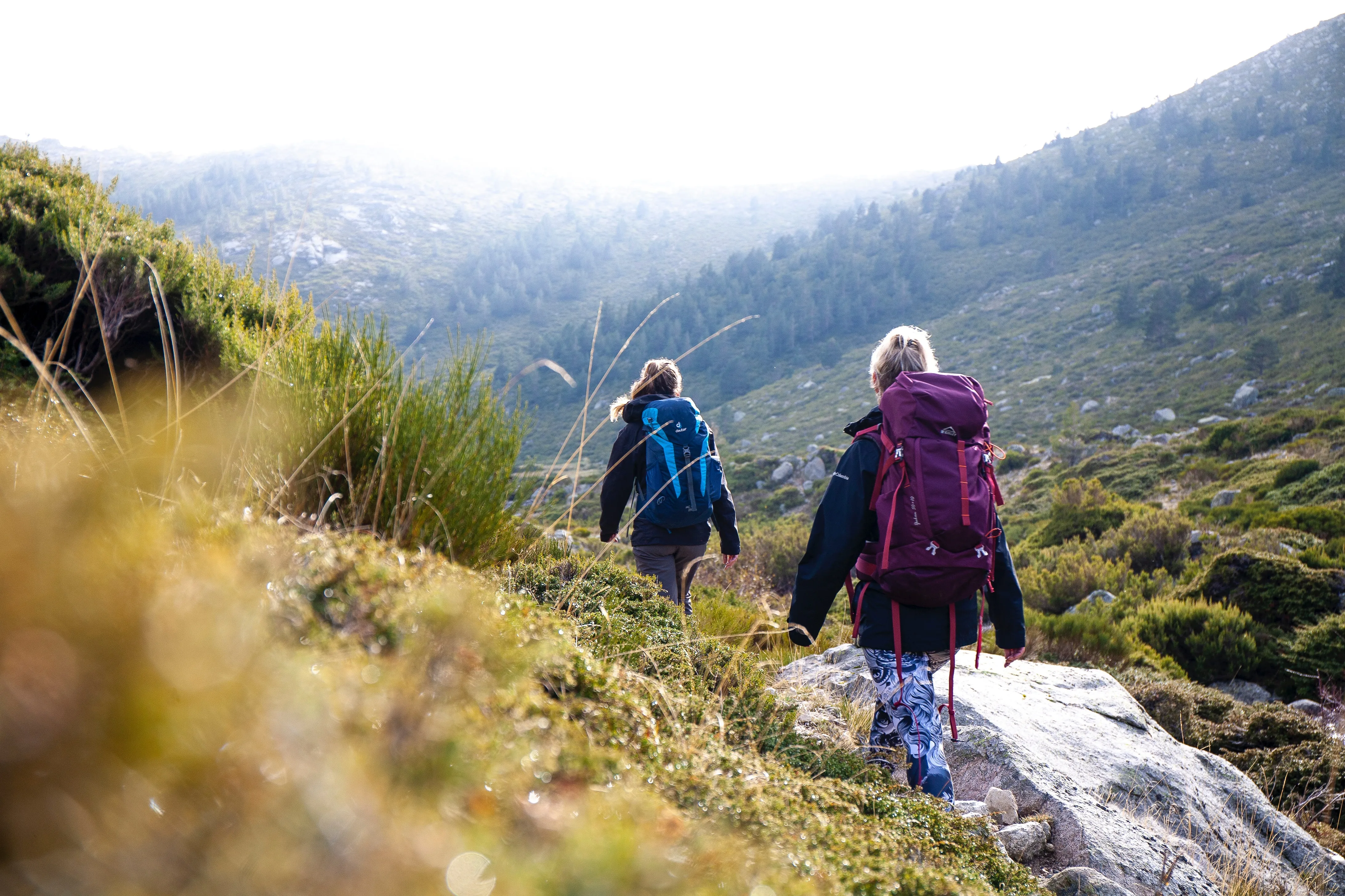 a couple of people walking up a hill