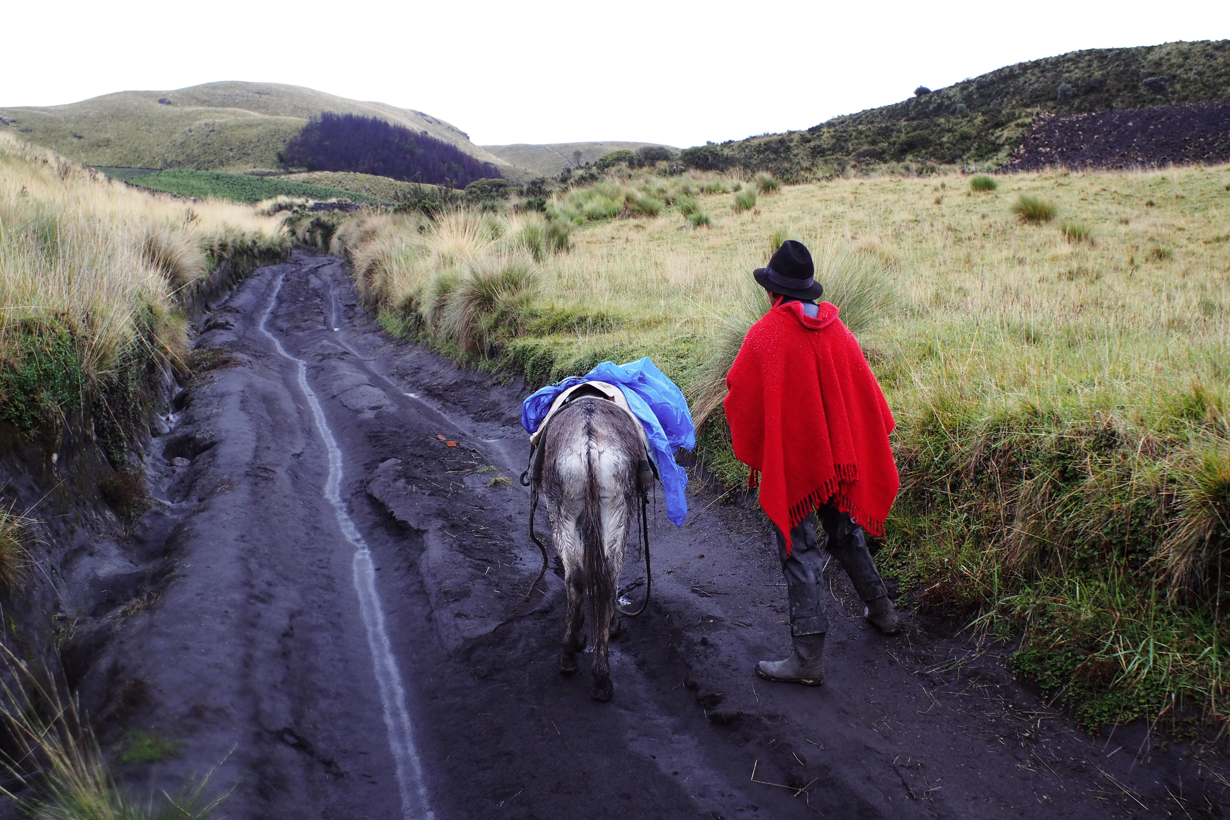 Juan Ushca y el burro Luis suben hacia el glaciar del Chimborazo, en un tramo a cerca de 4 000 metros de altura. Cumplen una encomienda que su suegro le lanzó una década atrás. 